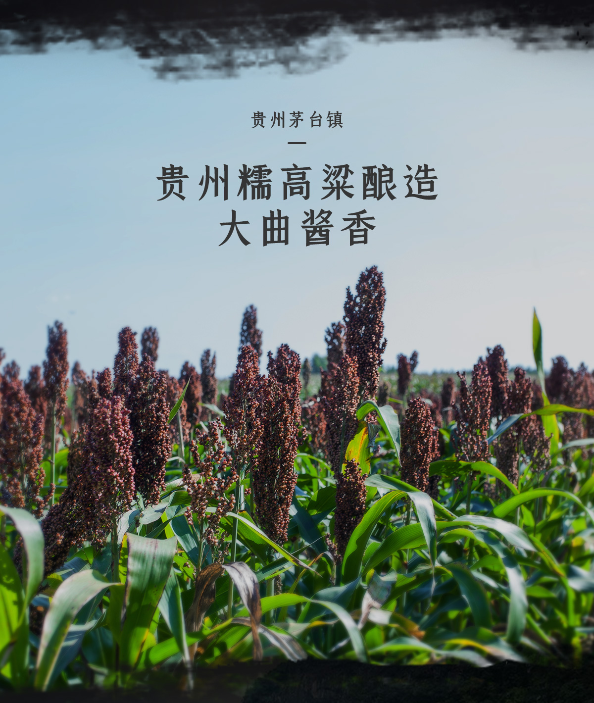 三十年同坤老酱 岁月精华 老酒芳香