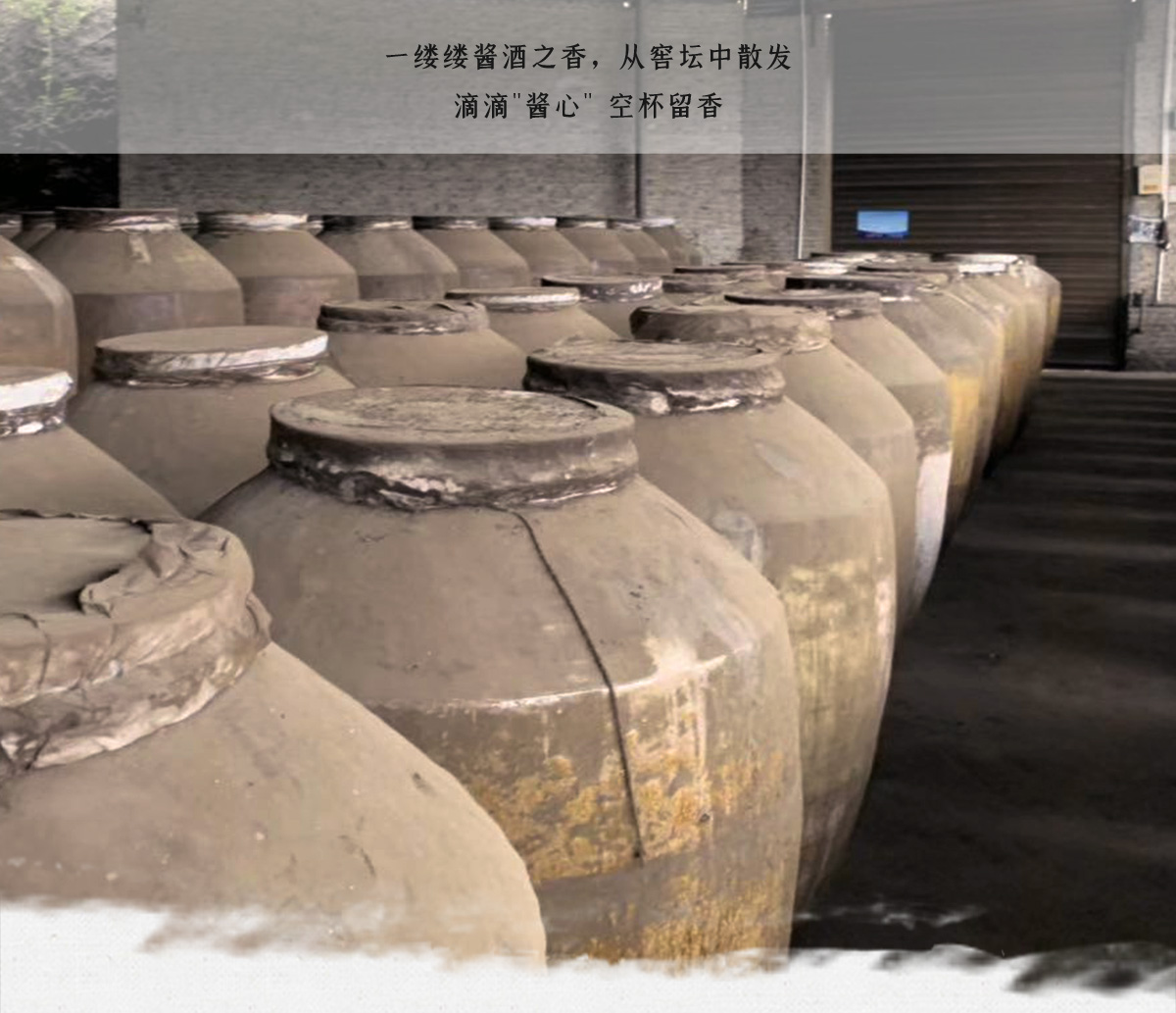 五十年同坤老酱-品同坤老酱 悟老酒精神